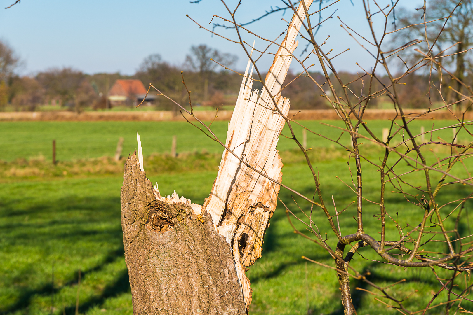 Der Januarsturm und seine Spuren