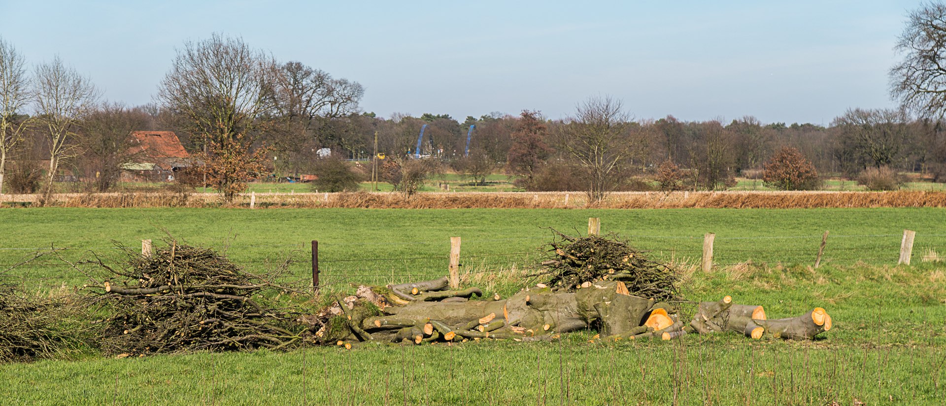 Der Januarsturm und seine Spuren