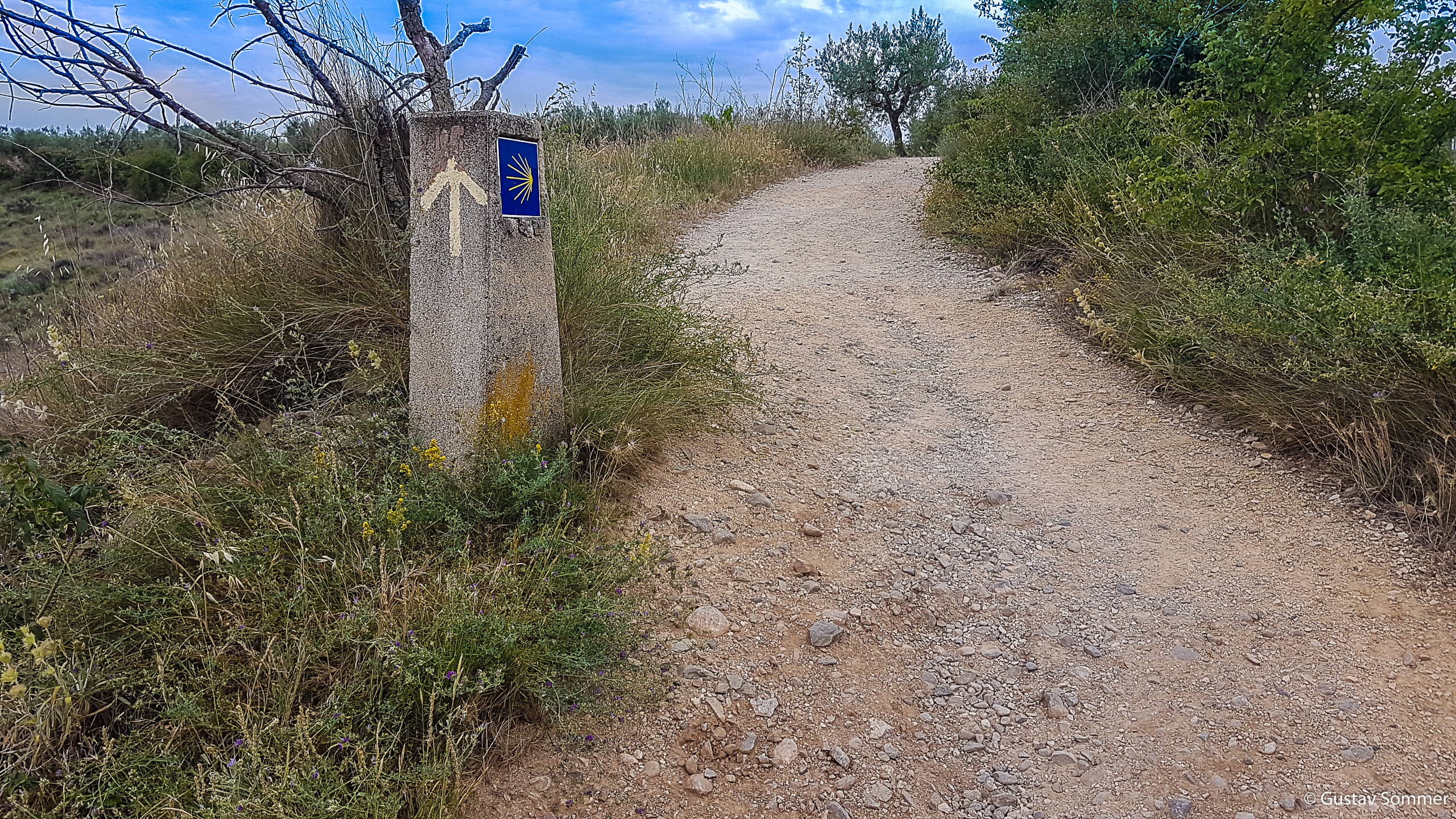 Camino Frances bei Arcos