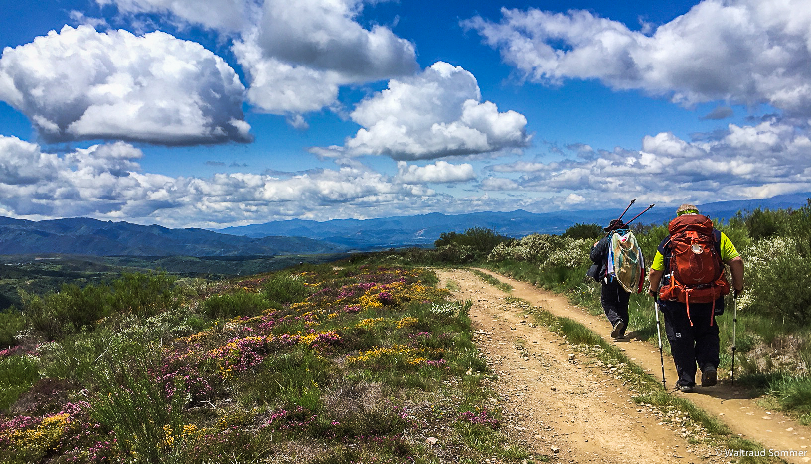El Acebo de San Miguel