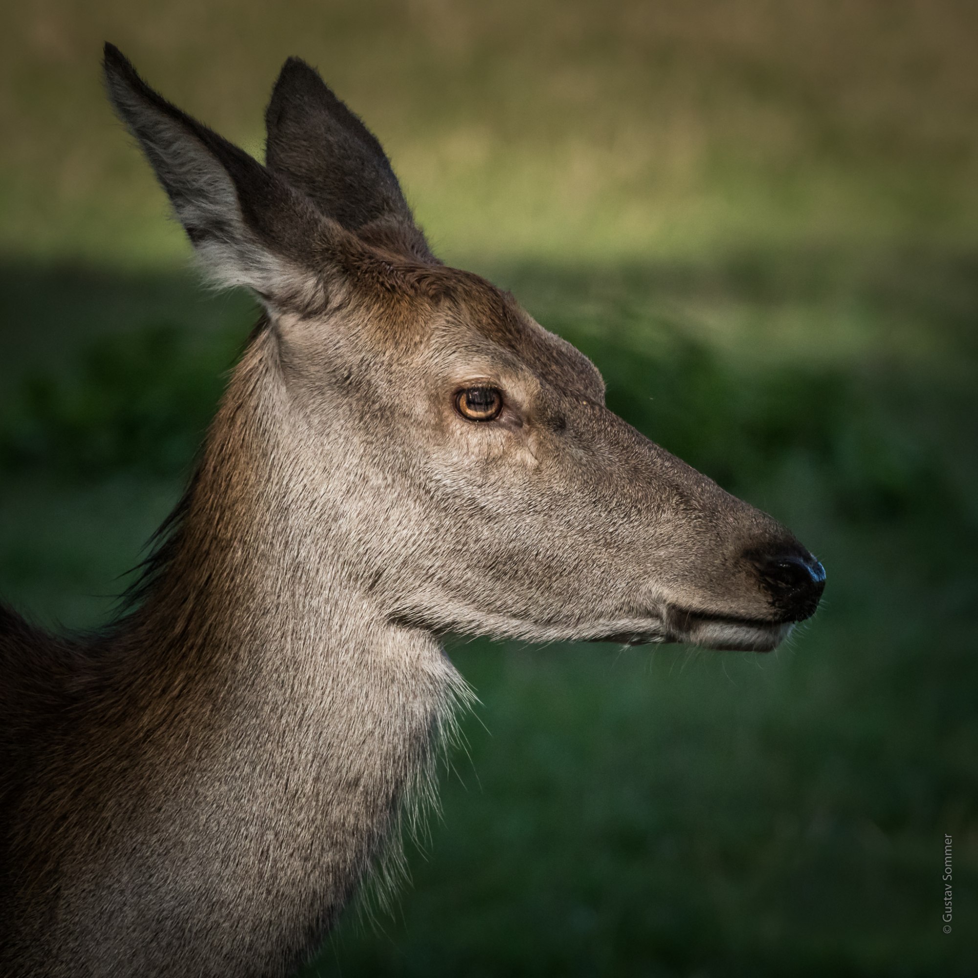 ... Ich find mich scharf und schön