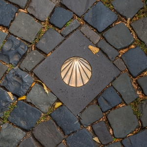 Bronzemuschel aus Santiago auf dem Jakobsweg in Münster