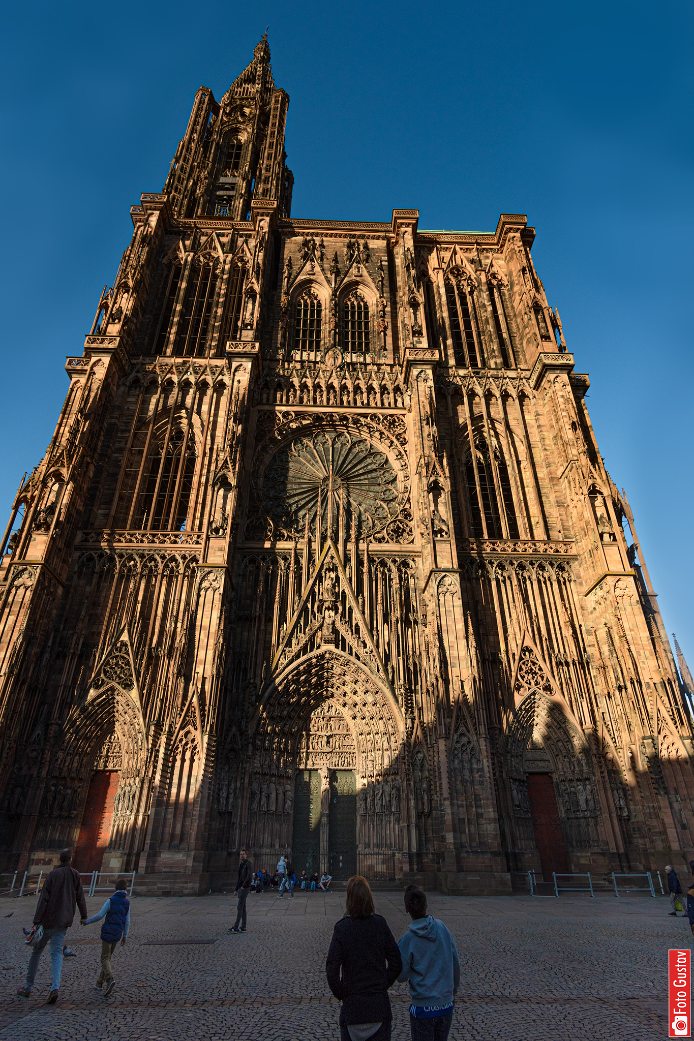 Straßburger Münster Kathedrale Notre-Dame de Strasbourg