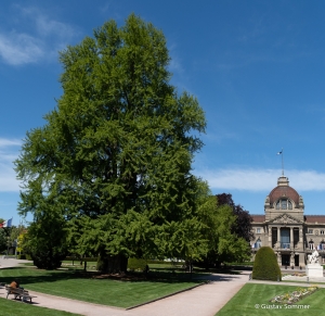 Deutsches Viertel in Straßburg aus Kaisers Zeiten