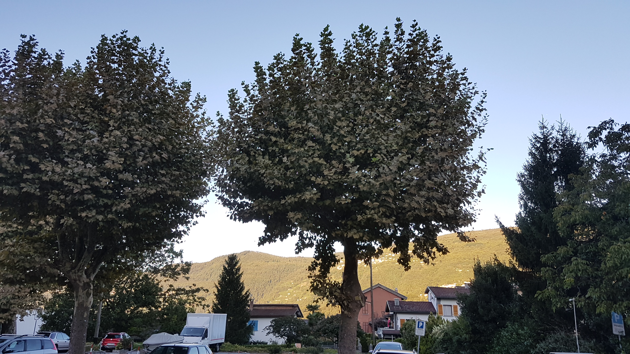 20170920_075125.jpg  20. September 2017