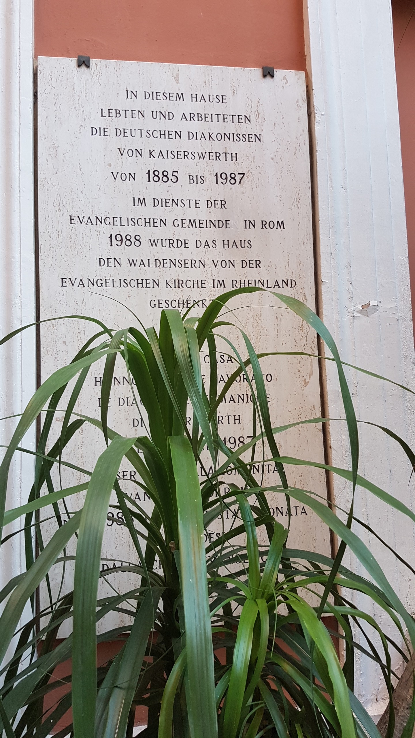 20170920_181003.jpg  20. September 2017