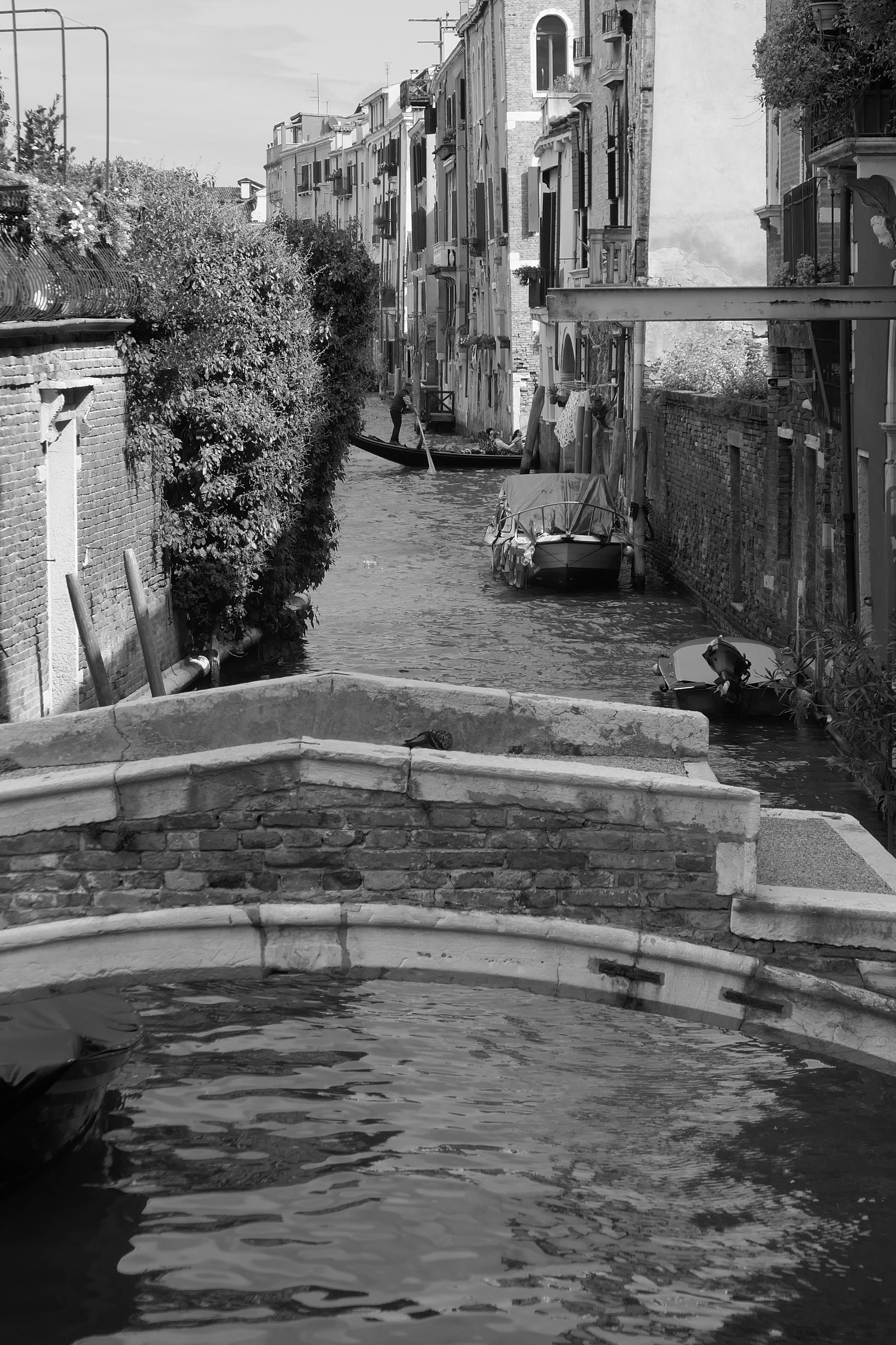 20170925_1218 p1010620.jpg  26. September 2017