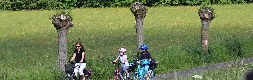 Niederhein bei Wesel 2012 | Foto Gustav Sommer